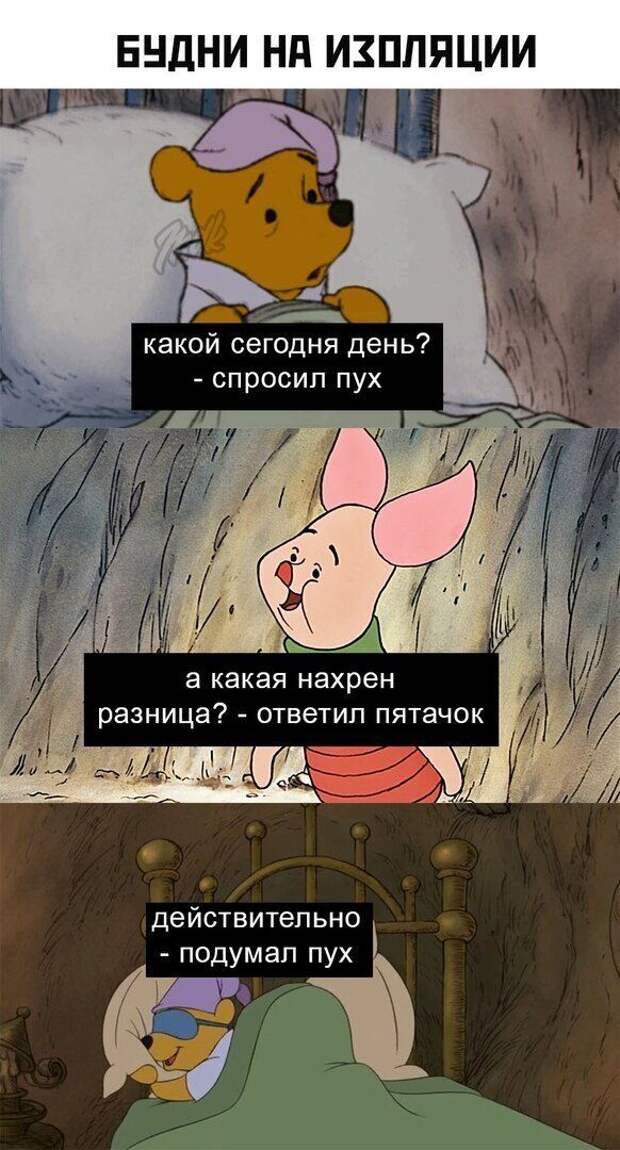 mpf2wiodz2m.jpg