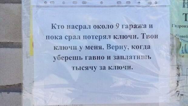 Немного веселых картинок