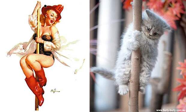 Кошки и девушки в стиле пинап pinupcats02 Кошки и девушки в стиле пинап