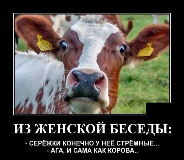 Демотиваторы (20 фото)
