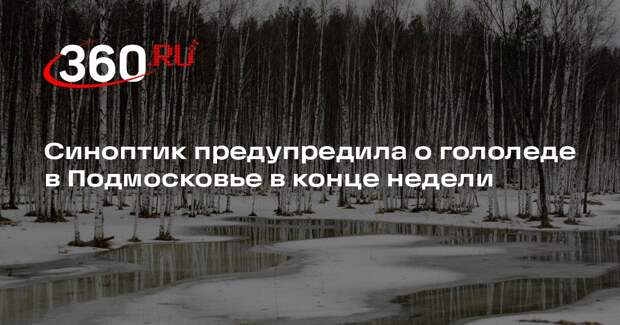 Синоптик Позднякова: в Подмосковье гололед и мокрый снег сохранятся до 11 апреля