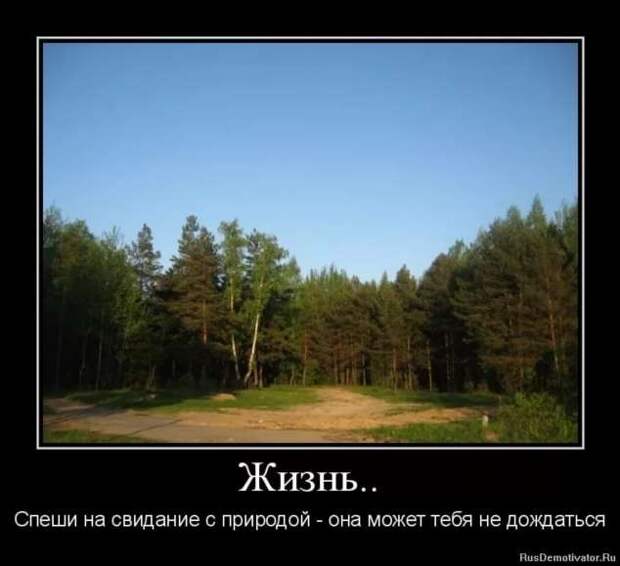 Прикольные демотиваторы с надписями. Подборка chert-poberi-dem-chert-poberi-dem-22130625062020-12 картинка chert-poberi-dem-22130625062020-12
