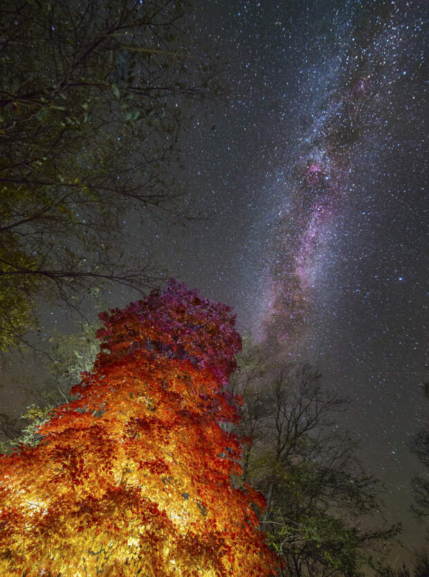 Milky way from Yellowstone Park-29