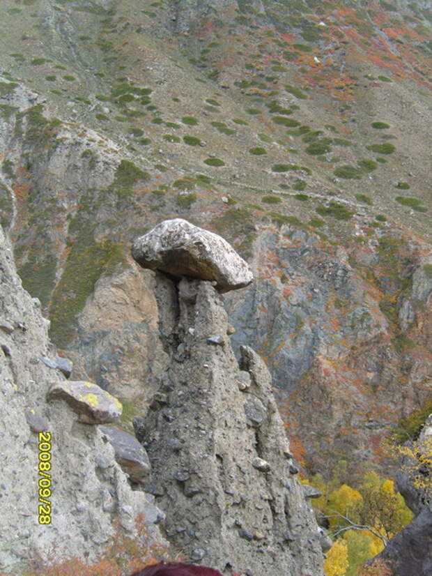 Существует ли свобода воли?