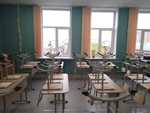 В Кузбассе детские школы искусств получили скрипки от французских мастеров