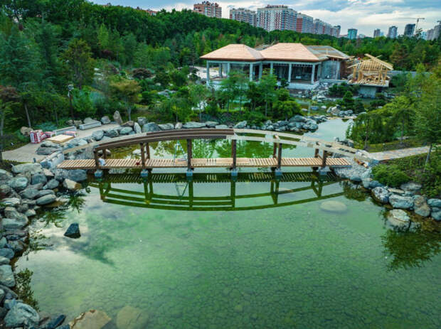 Долгожданное открытие Японского сада в парке Галицкого: назвали дату