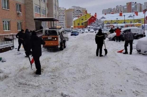 В Тамбове волонтеры бесплатно помогут пенсионерам с уборкой снега