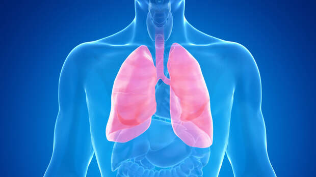 Врач Гасанов: на развитие ХОБЛ больше влияет наследственность