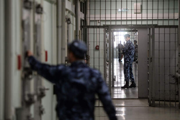 РИА: дизайнера интерьеров Власову арестовали за финансирование терроризма