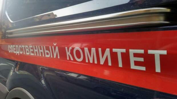 Полиция выясняет подробности смерти сына светской львицы на Рублевке