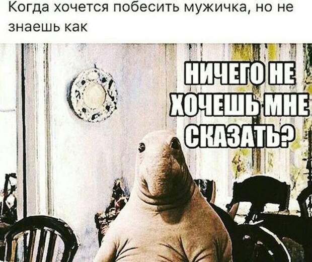 Юмор из соцсетей (20 скриншотов)