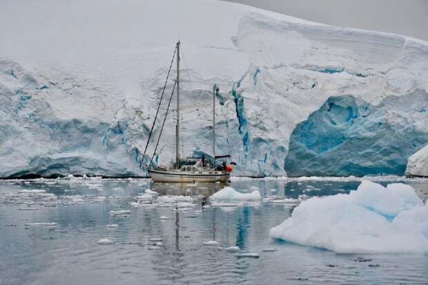 Клочковы хотят вернуться в Антарктиду, где толком побыть им не удалось из-за пластикового корпуса яхты