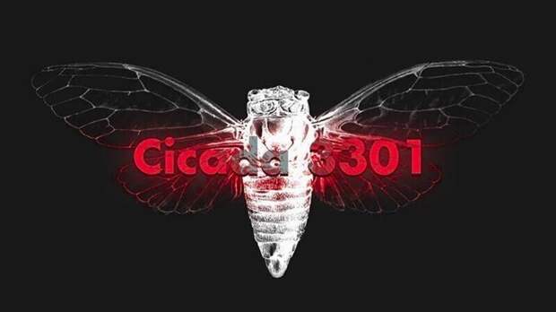 Cicada 3301 - анонимная организация, публикующая хакерские загадки и задачки по взлому шифров в Интернете. Есть версии, что с помощью этого сервиса набирают хакеров в ряды подпольных групп или отбирают талантливых кандидатов в спецслужбы Cicada 3301 - анонимная организация, публикующая хакерские загадки и задачки по взлому шифров в Интернете. Есть версии, что с помощью этого сервиса набирают хакеров в ряды подпольных групп или отбирают талантливых кандидатов в спецслужбы
