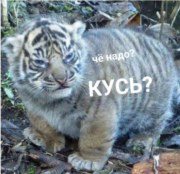 Подборка свежих фото и картинок с надписью со смыслом (11 фото) Подборка свежих фото и картинок с надписью со смыслом (11 фото)
