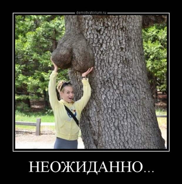 Демотиваторы-приколы (14 шт)