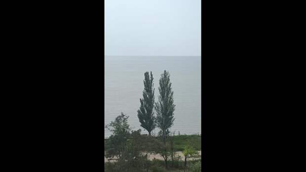 Video: Видео от Донецкая группа новостей|Донецк.ДНР