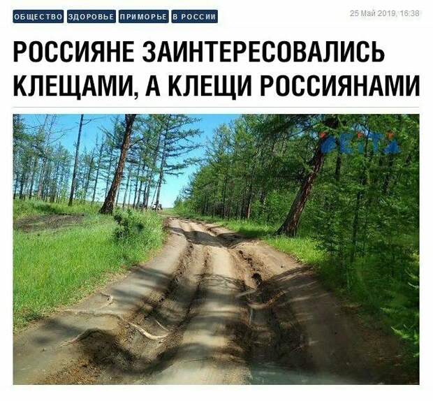 Креативные новостные заголовки на грани кликбейта Креативные новостные заголовки на грани кликбейта газеты, заголовки, мастер пера 80 лвл, пресса, скриншоты, смешно, статьи, юмор
