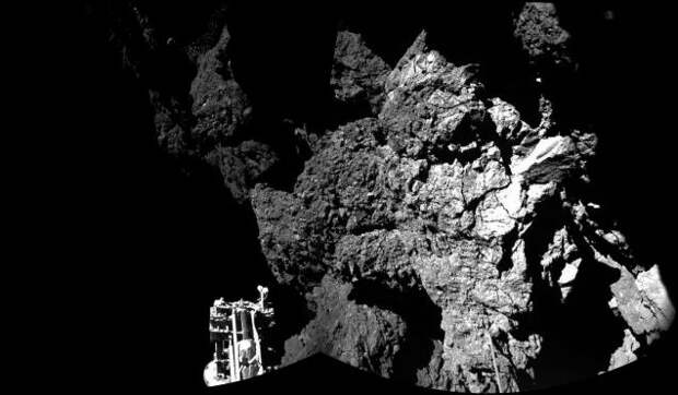 Самые удивительные научные изображения 2014 года (26 фото + 22 гифки)