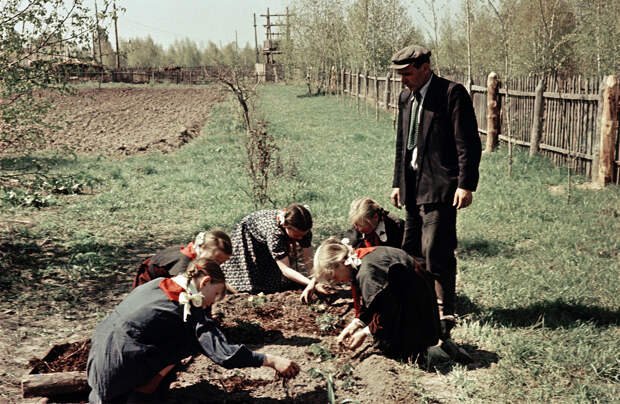 Нижне Чемская школа. Юннаты