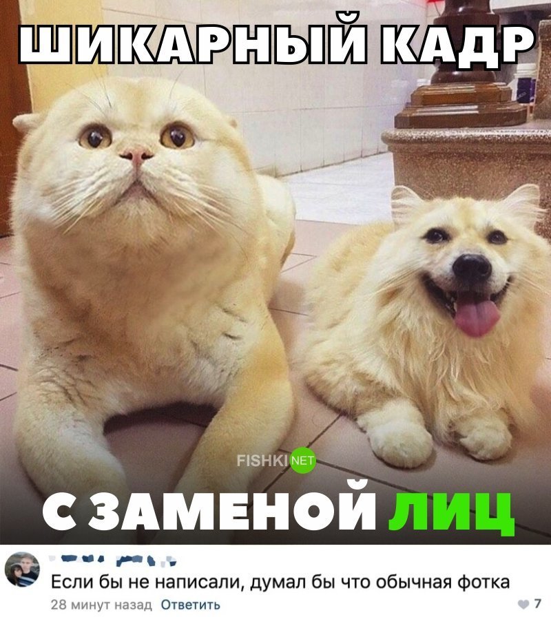 Картинки с надписями для настроения от TainT за 24 октября 2018 картинки с подписями, мэмы, подборка, позитив, юмор
