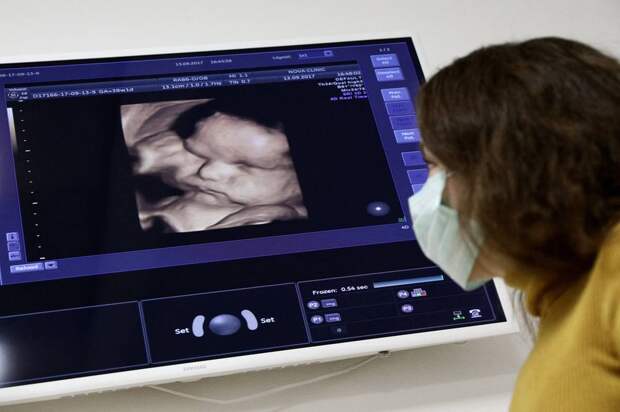 Единый стандарт помощи