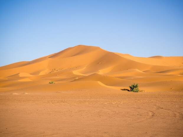 Знаете ли вы, почему и когда Сахара была зеленой?