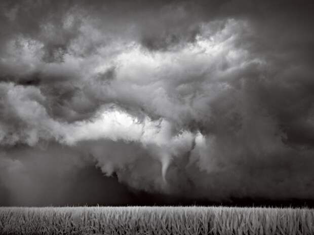 natgeowllpprs18 natgeowllpprs18 Обои для рабочего стола от National Geographic за апрель 2013