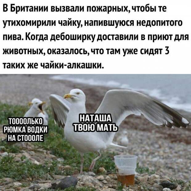 Смешные картинки (20 фото)