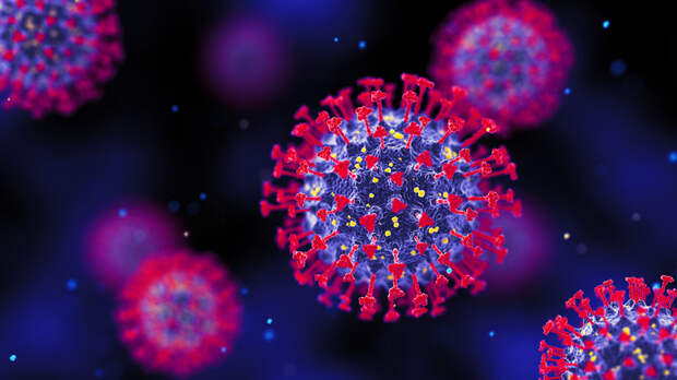 Вирусолог Чумаков: через два года коронавирус будет неотличим от простуды