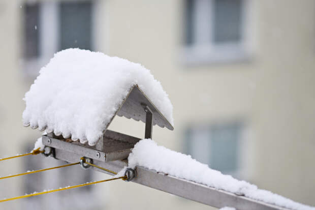 В Рязанской области 3 февраля ожидается налипание мокрого снега