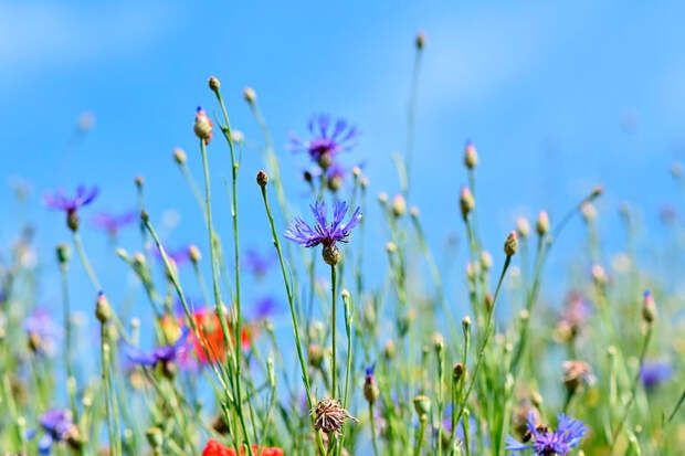 Сестра мужа: «С вас 100 рублей. За тарелку супа.»