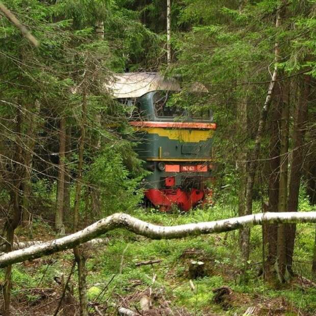 Беспощадность времени на фото
