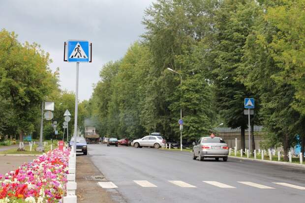 На содержание зелёных насаждений вдоль автодорог в Ижевске выделено более 1,2 млн рублей