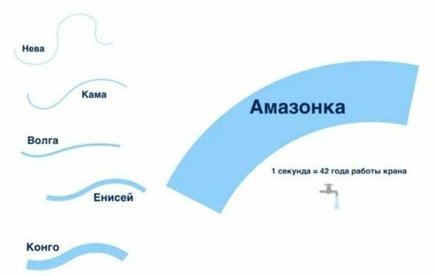 Амазонка вода, время, интересное, мир, познавательно, река, скорость