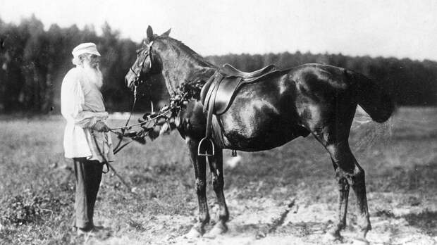 Лев Толстой в Ясной Поляне, август 1908 года