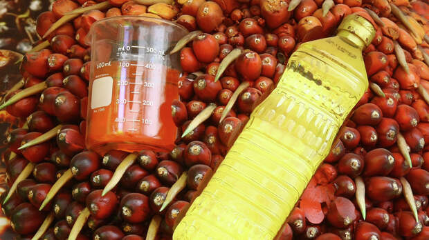 Диетолог объяснила, как определить пальмовое масло в продуктах 
