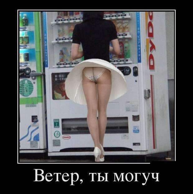 Демотиваторы (30 фото) Демотиваторы (30 фото)
