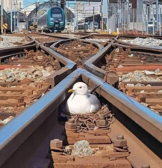 приколы 2021