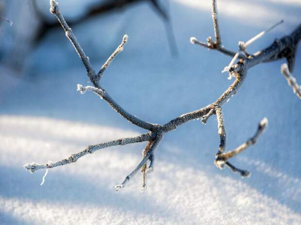 В Тюмени похолодает: завтра начнут возвращаться морозы