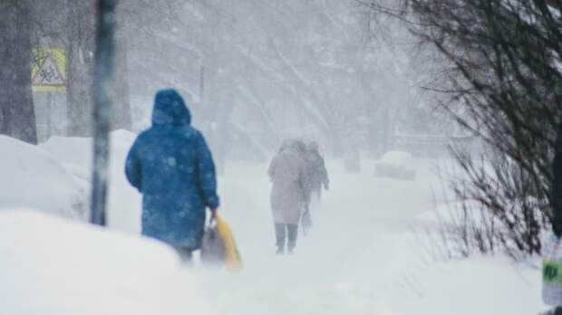 Метели и ветер накроют Алтай перед быстрым потеплением и резким похолоданием