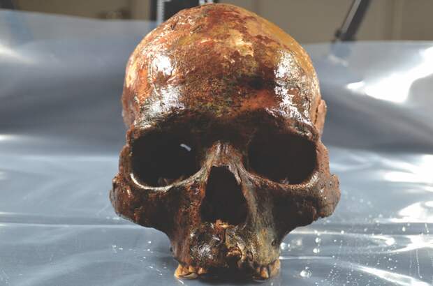 This 8,000-year-old skull was part of a mysterious Mesolithic ritual.