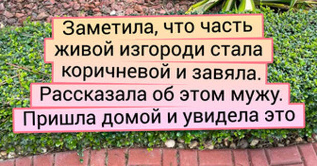18 родственников, с которыми не получится соскучиться, даже если очень захочется