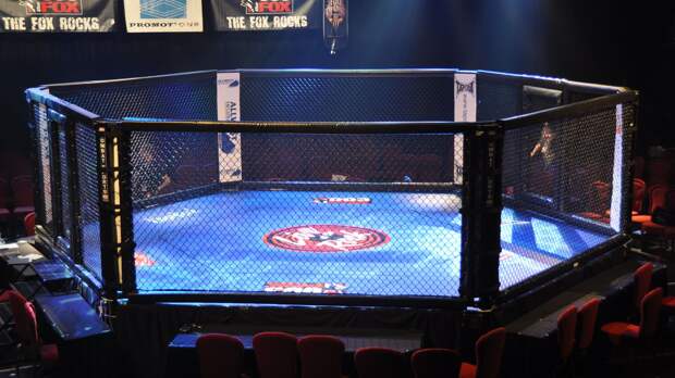 "Сказочно хорош": японцы жаждут увидеть в деле великого бойца из России