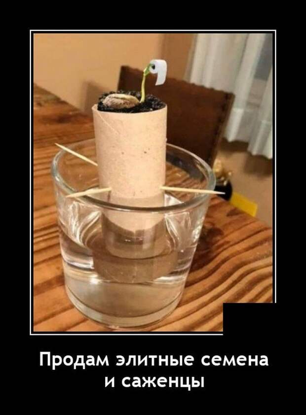 Демотиватор про семена
