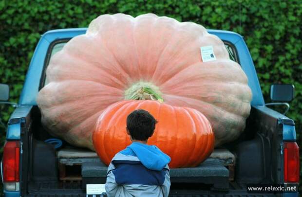 october_009 october_009