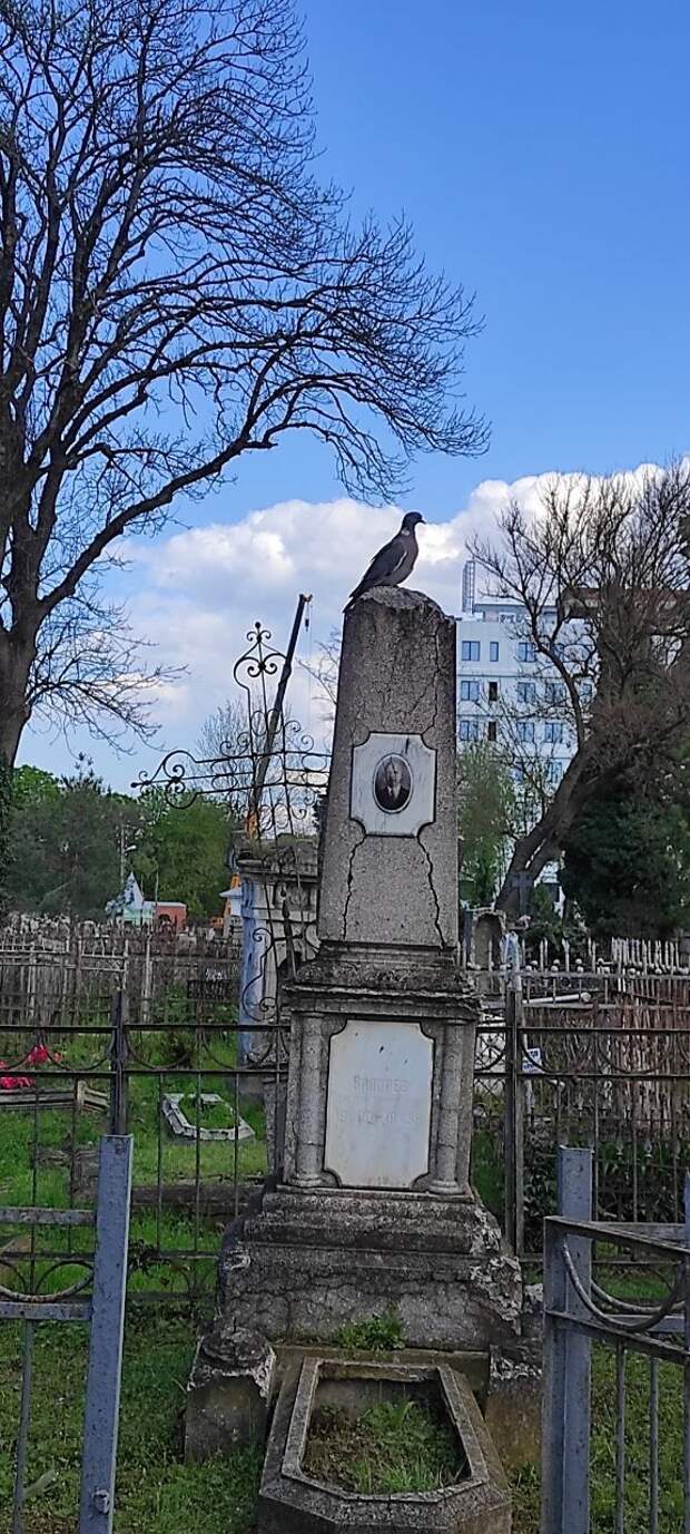 Закон о памяти на Кубани: выходной на Радоницу до 2053 года - когда в этом году