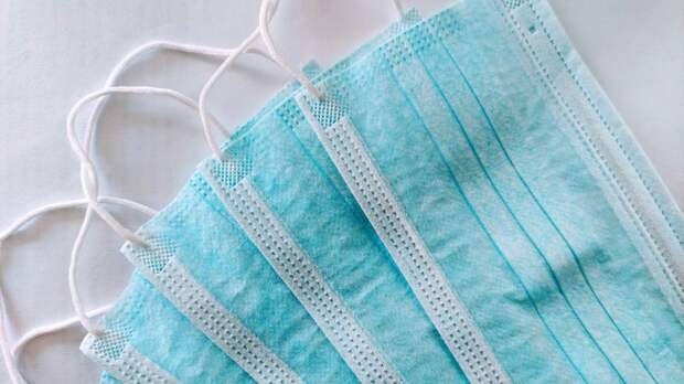 Правда ли, что смертельный вирус Нипах может попасть в Россию вместе с фруктами?