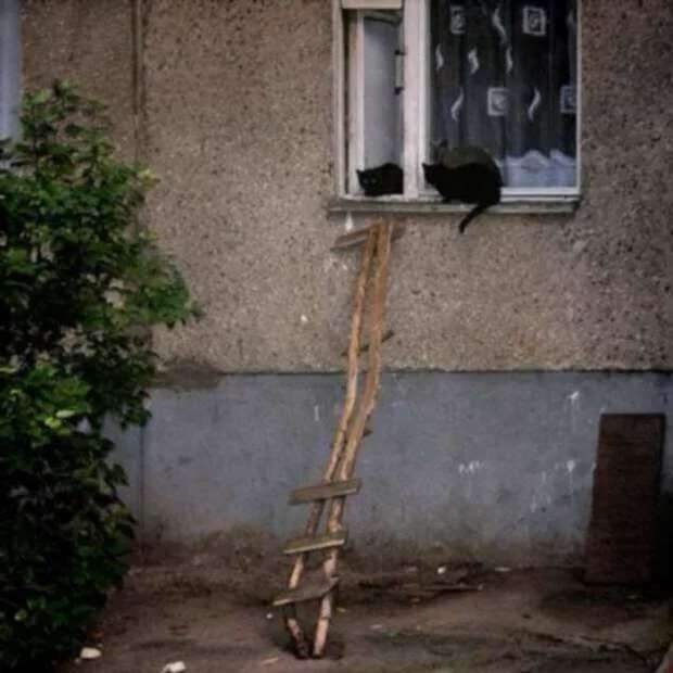 Строительные приколы ошибки и маразмы. Подборка chert-poberi-build-chert-poberi-build-42160416012021-6 картинка chert-poberi-build-42160416012021-6