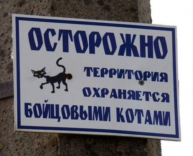 Необычные информационные таблички с калиток, ворот и заборов (15 фото)