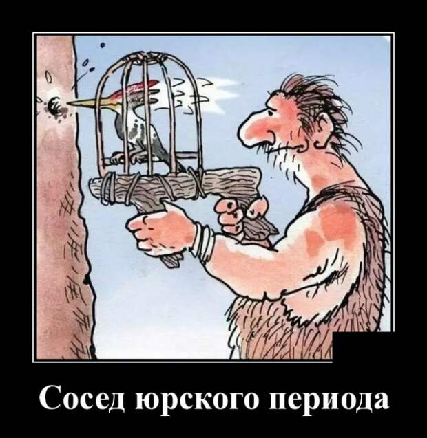 Демотиваторы (20 фото)
